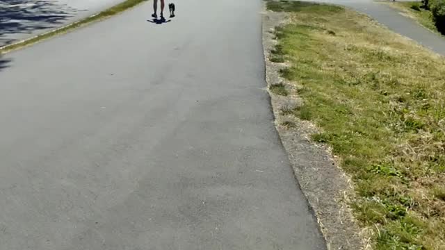FAKE POINTING FAKE ENVIRONMENT IN VICTORIA BC 🇨🇦.