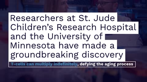 Cellular Fountain of Youth: New T-Cell Discovery Rewrites the Rules of Aging