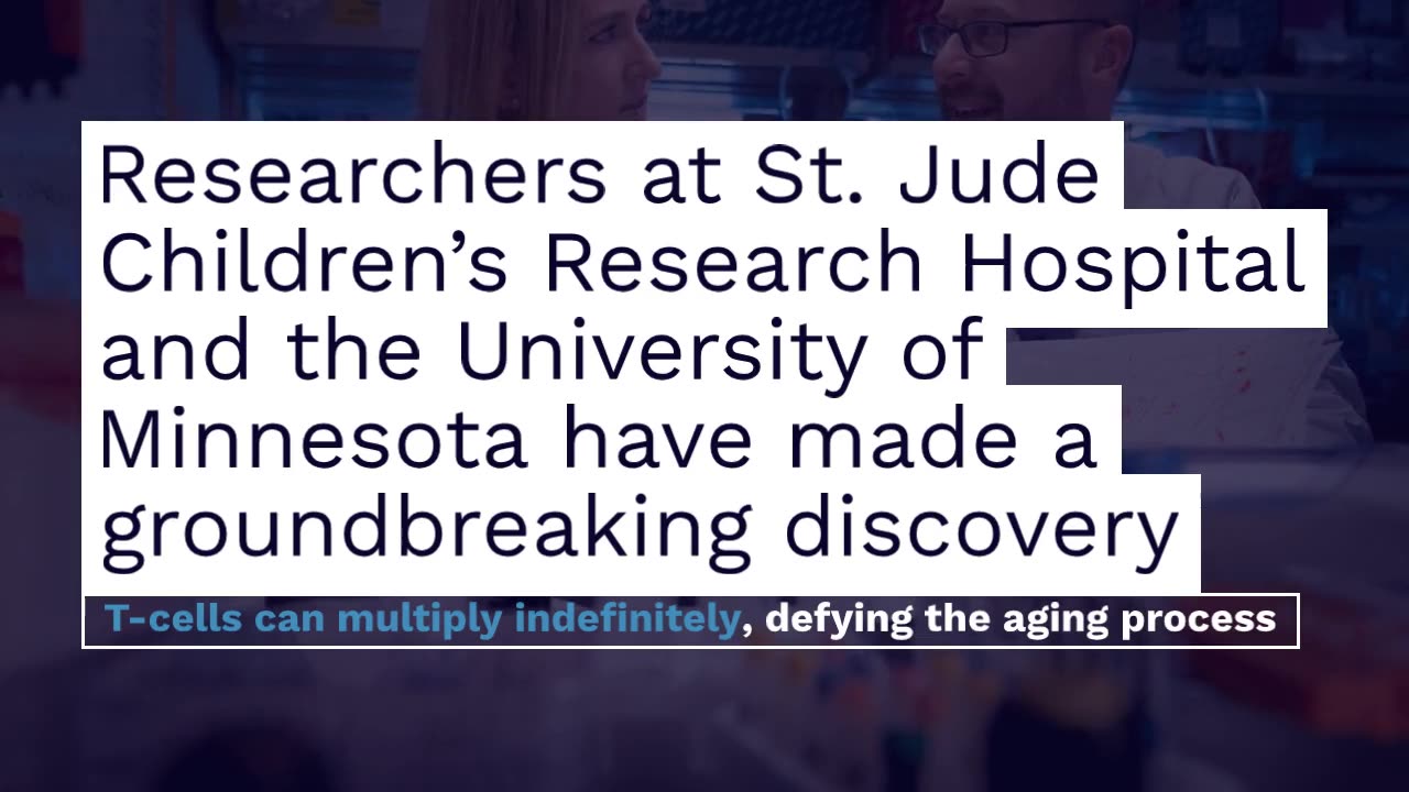 Cellular Fountain of Youth: New T-Cell Discovery Rewrites the Rules of Aging