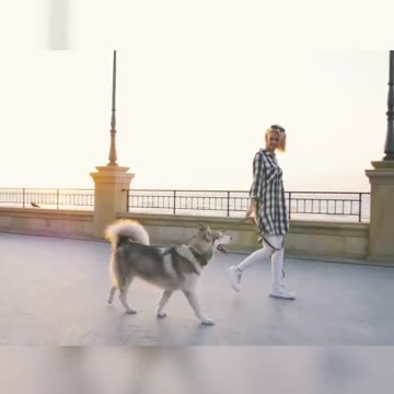 Dog with owner walking down😊🙂