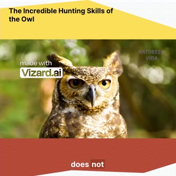 Witness the Silent Night Stalkers: The Owls' Mastery in Hunting! 🦉🌙