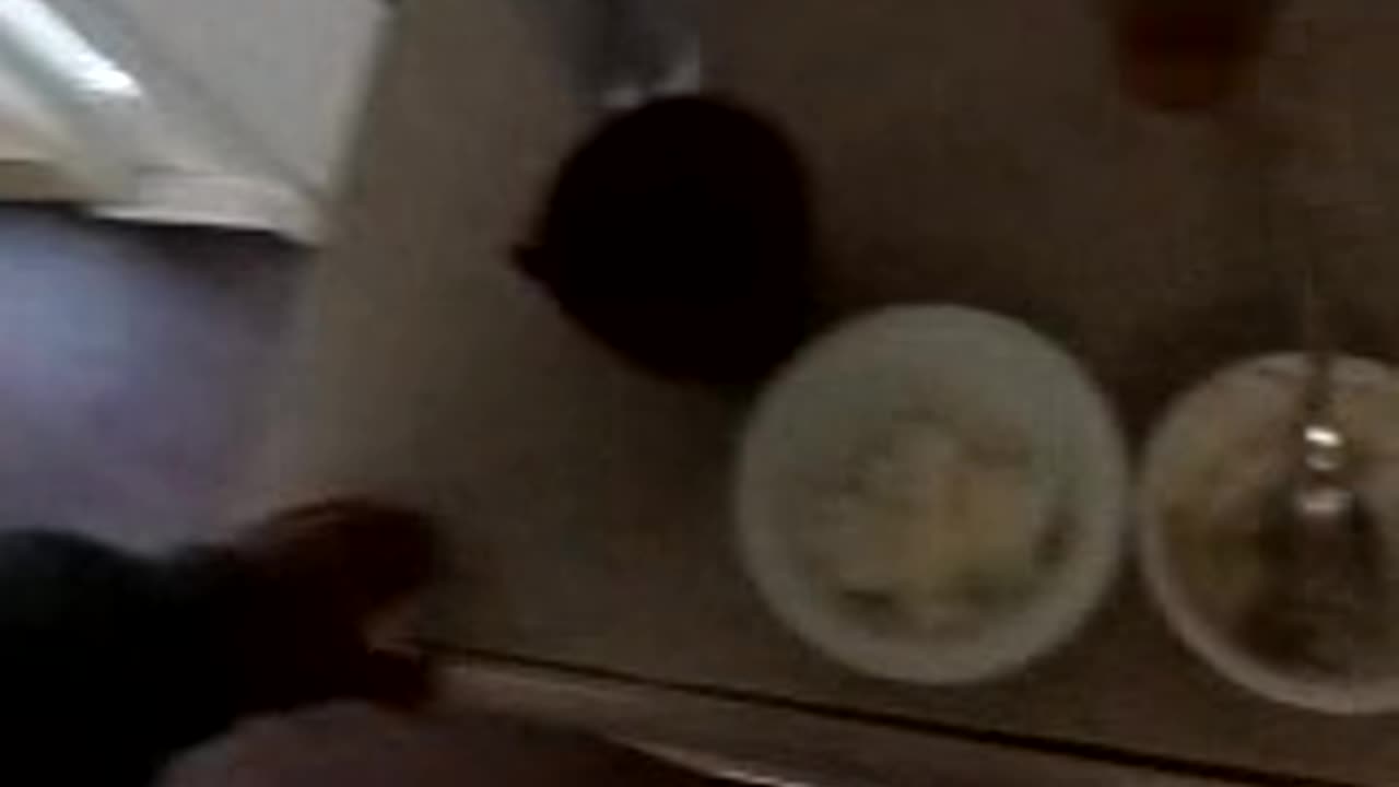 May 9, TUESDAY = WHITE DAY (2's), 9:49am finish, 2023.