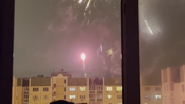 Fireworks Display Fascinates Doggy