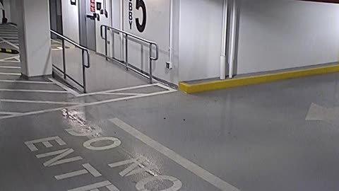 6080RHOBG3G305ANorthLobbyEntry_2021-01-06_10h40min03s017ms.mp4