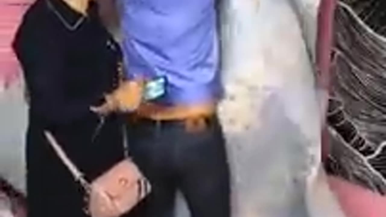BEST COMEDY VIDEO