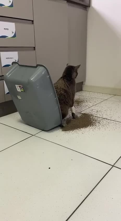 Life is unpredictable