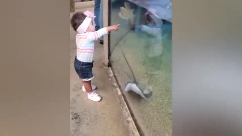 baby vs fish funny reaction