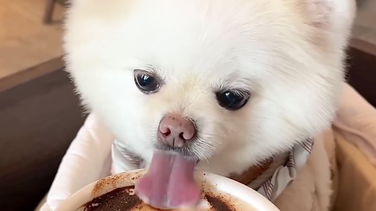 Cute pie