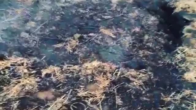 peat, underground fire