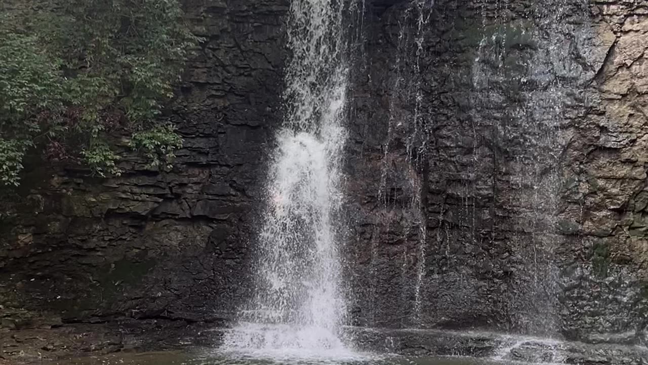 Fall