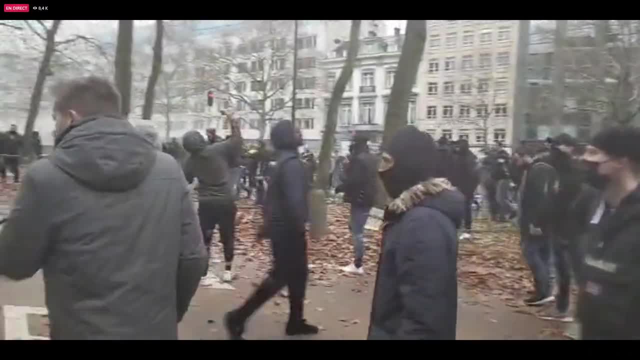 World Wide Demonstration - Brussels, Belgium