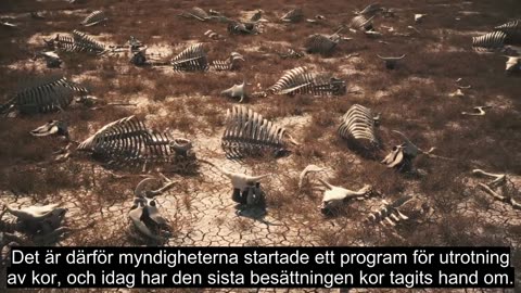 Animerad Svensktextad animation om framtiden