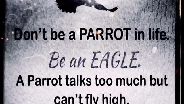 Don’t Be A Parrot in Life.