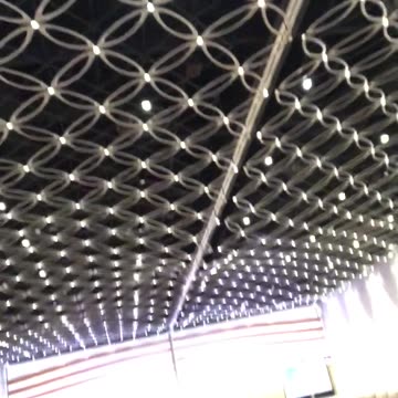 Susan at the Rules Committee room