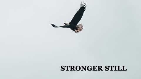 Pray USA, 4/4/23 Stronger Still