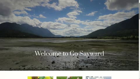 Go Sayward Introduction