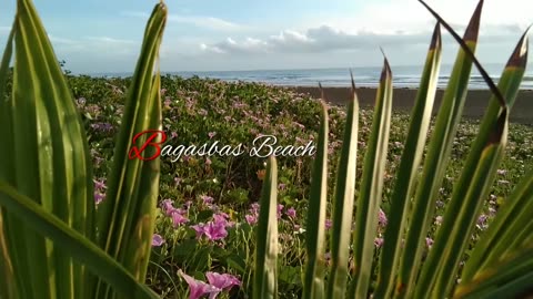 MOST BEAUTIFUL NATURAL VIDEO CLIP