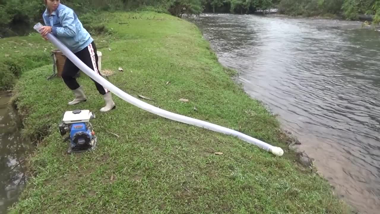 Hunting wild fish | Catch a lot of fish in the wild lake by using the big pump to suck the water-11