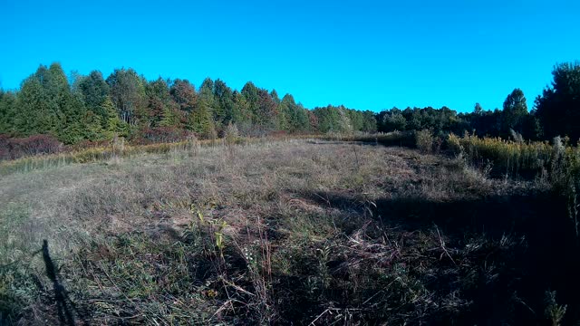 Relaxing fall field as shadows cross