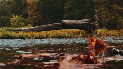 Power of words,Medication,Focus - Motivational Drone footage 4K-UHD