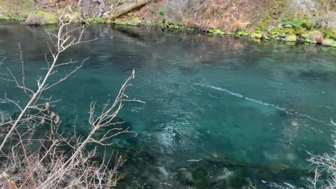 Incredible Ribbon of Color in Metolius River – Central Oregon