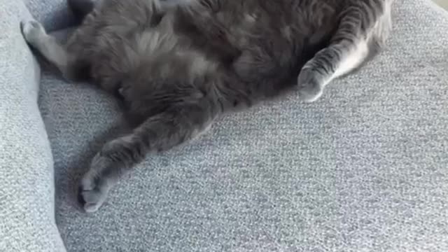 Me when i want food