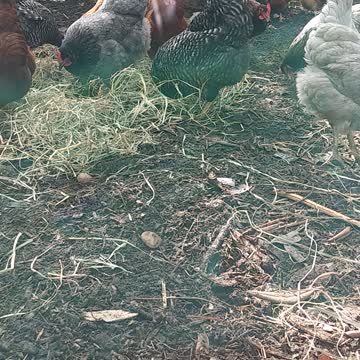 Peaceful Sunday Morning