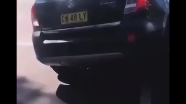 WOW Covid Cultists Crashes Car into Protestor for no Reason - Next Level Ignorance