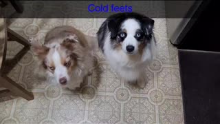 Cold feet