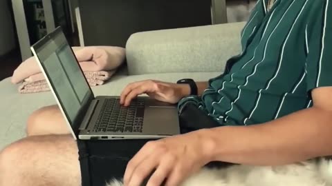 Funniest cats in the world