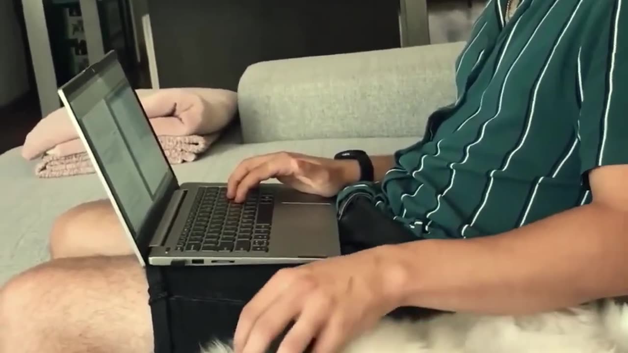 Funniest cats in the world