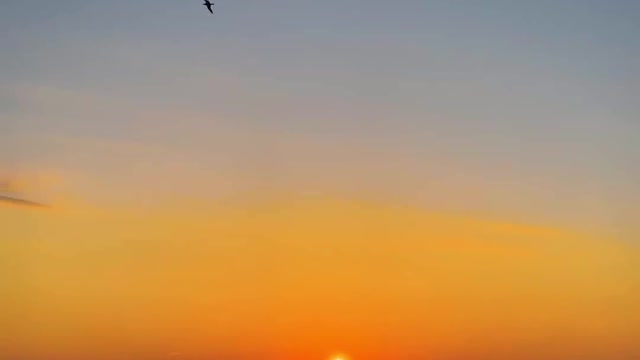 sunset video