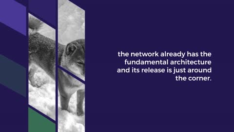 Shibarium it's on fire!