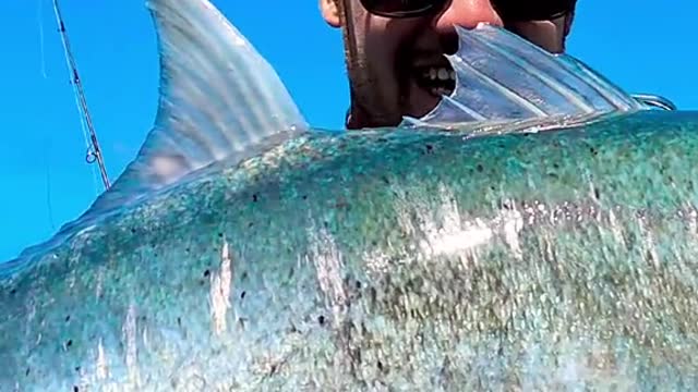 shallow water and big fish the perfect combination....