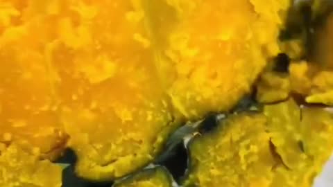 Pumpkin that looks delicious