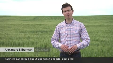 Some family farmers say capital gains tax changes punish next generation CBC News