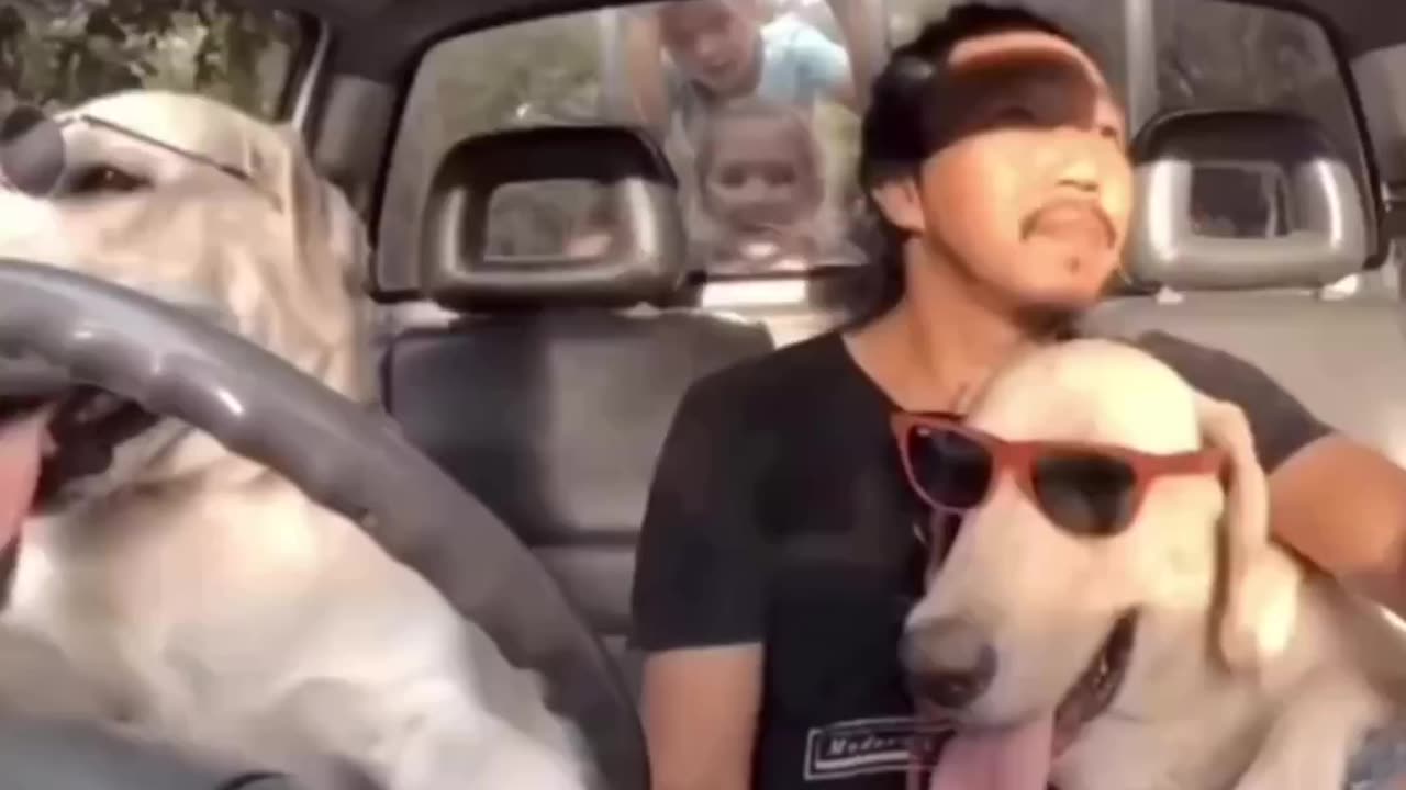 Best friendship ever | Dogs loves u without any conditions