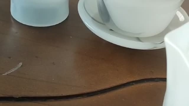 nice white tea cup
