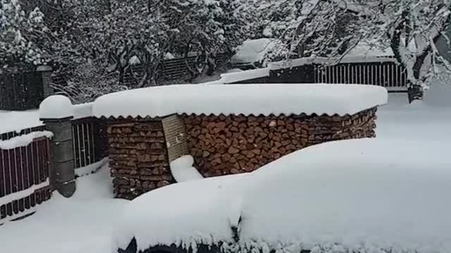 Estonia snow
