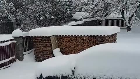 Estonia snow