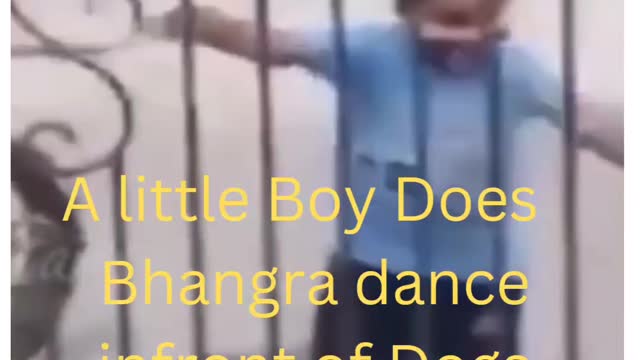 A boy Does panjabi bhagra dance infront of dogs