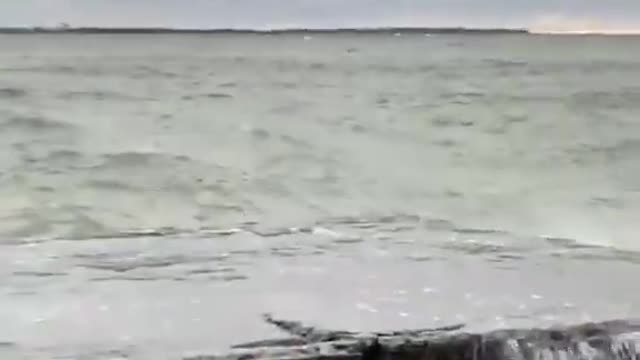 Bodybuilder Gets Washed Away By Huge Wave While Stretching on Pier Amidst Storm