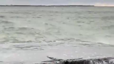 Bodybuilder Gets Washed Away By Huge Wave While Stretching on Pier Amidst Storm