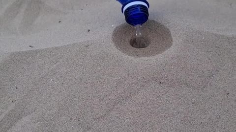 Crazy Hack On Beach