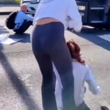 Just stop oil protesters just stopping traffic as usual