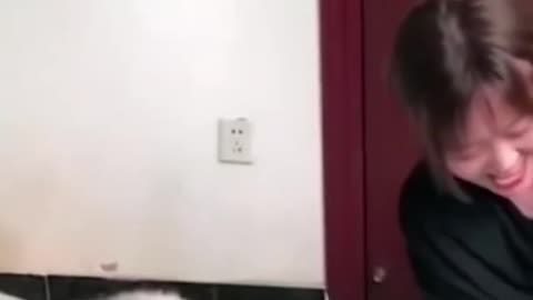 Funny animal video