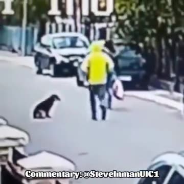Dog Saves The Day