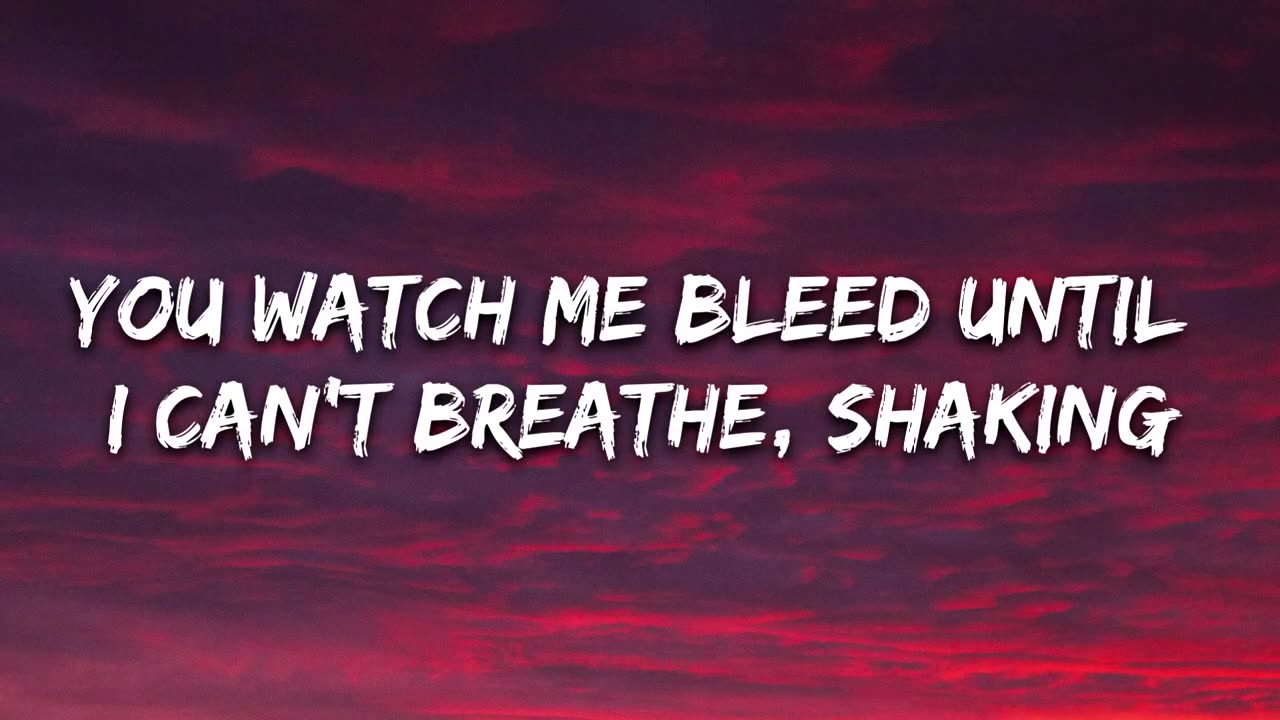 Shawn Mendes - Stitches (Lyrics Video)