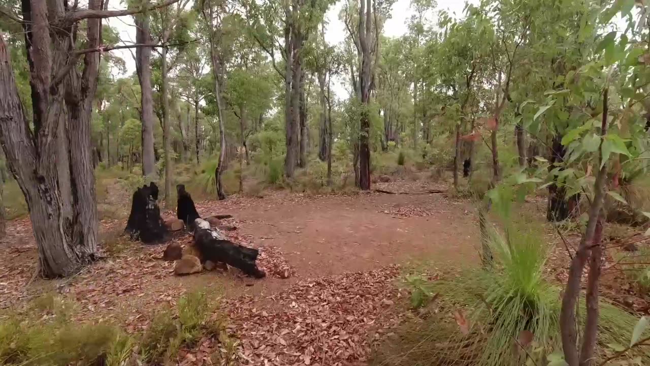 Beraking Shelter on the Bibbulmun Track