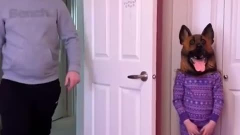 Funny dog prank